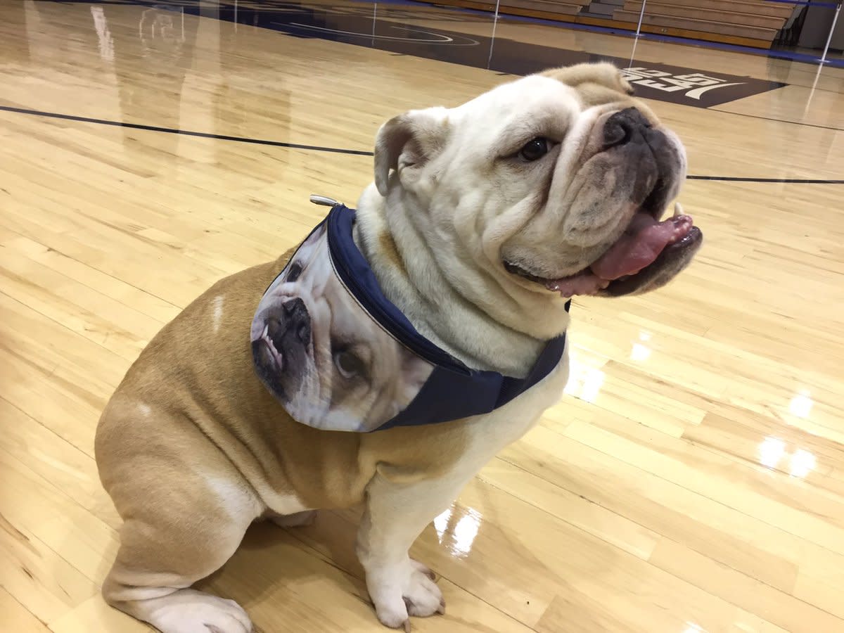 fanny-pack-georgetown.jpg